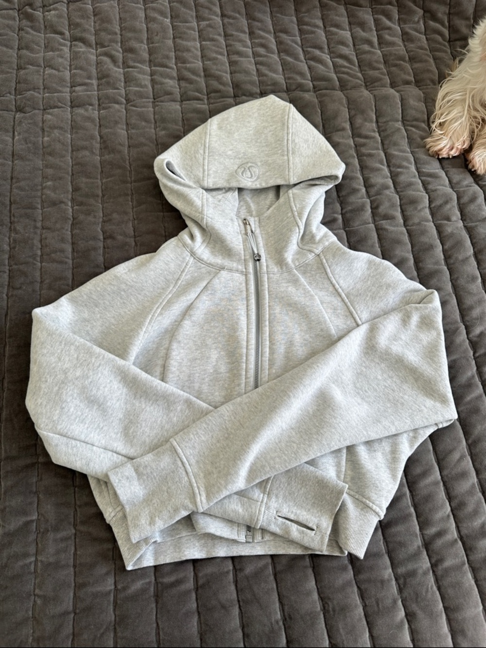 Lululemon heather grey crop scuba hoodie size 8/M